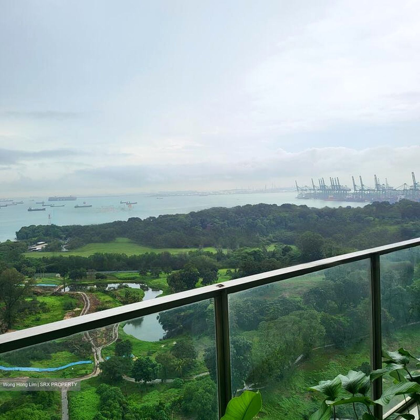 Skyline Residences (D4), Condominium #470416551